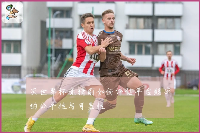 买世界杯竞猜前如何评估平台赔率的公平性与可靠性